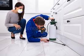 Best Pest Exclusion Services  in Maysville, NC